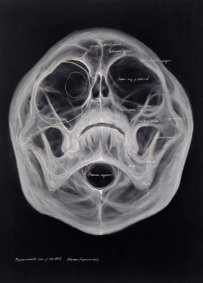 Animatus - Hyungkoo Lee