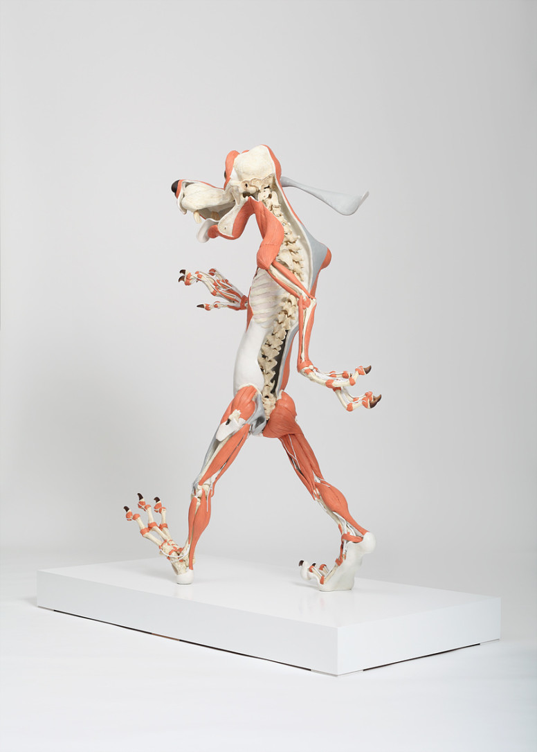 Animatus - Hyungkoo Lee