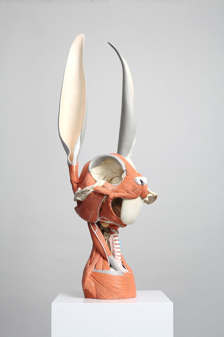 Animatus - Hyungkoo Lee